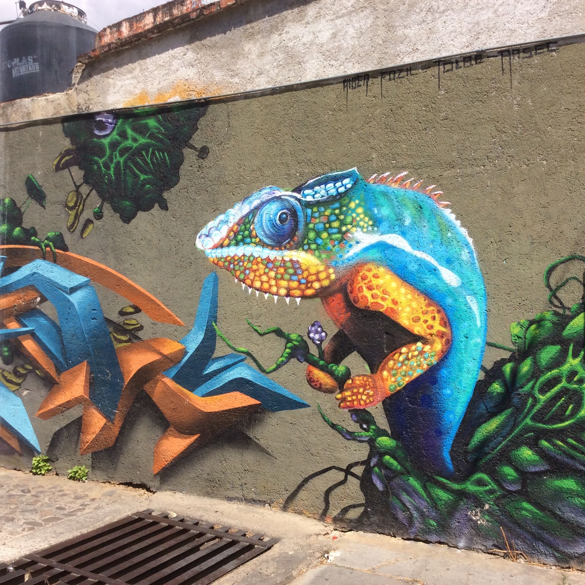 CAMALEON STREETART